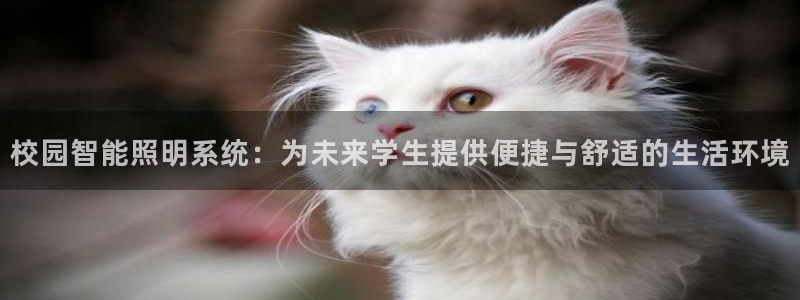 云顶国际提款不到账怎么回事