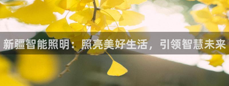 云顶国际公馆在哪个位置