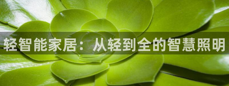 云顶国际服s9什么时候更新的