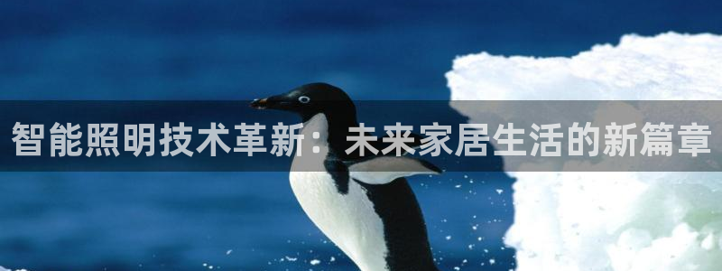 云顶集团网投领