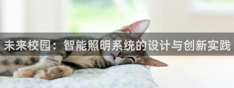 云顶国际投资有限公司