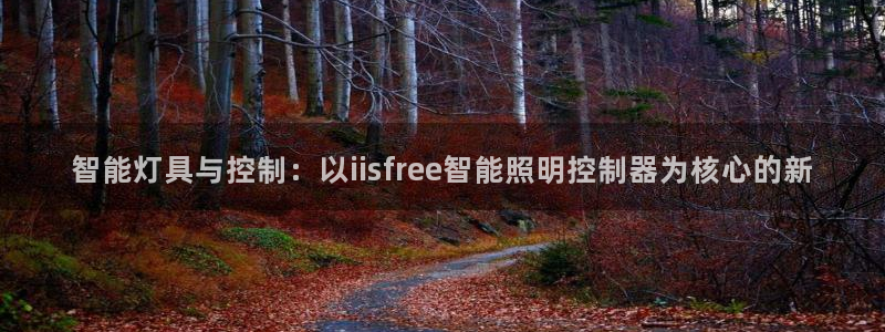 云顶国际服充值