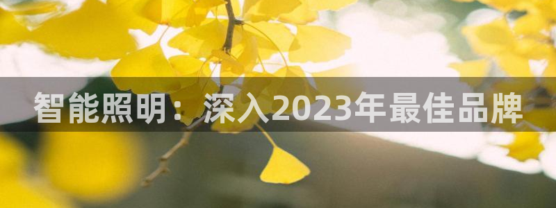 云顶国际版下载