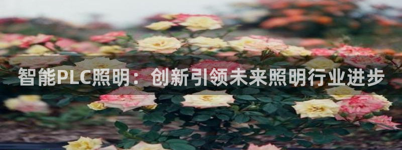 云顶集团在哪