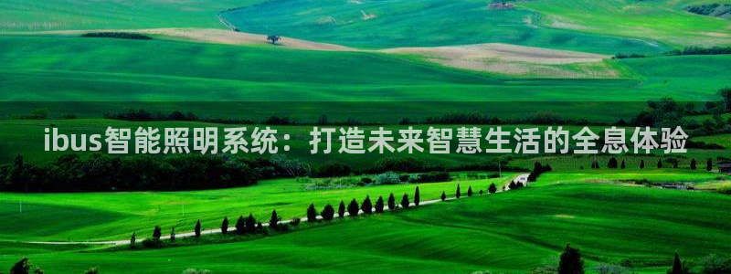 云顶集团网站多少：ibus智能照明系统：