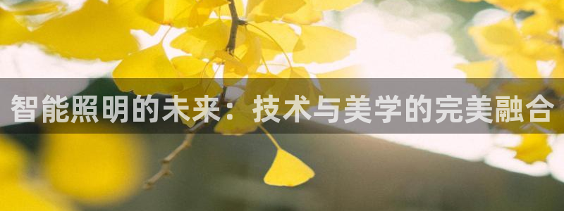 云顶国际是黑台吗知乎：智能照明的未来：技