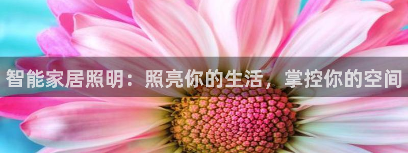 云顶国际服充值：智能家居照明：照亮你的生