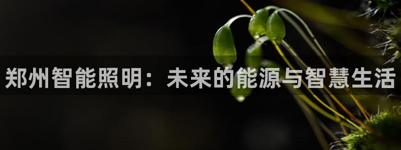 云顶集团游戏app苹果版