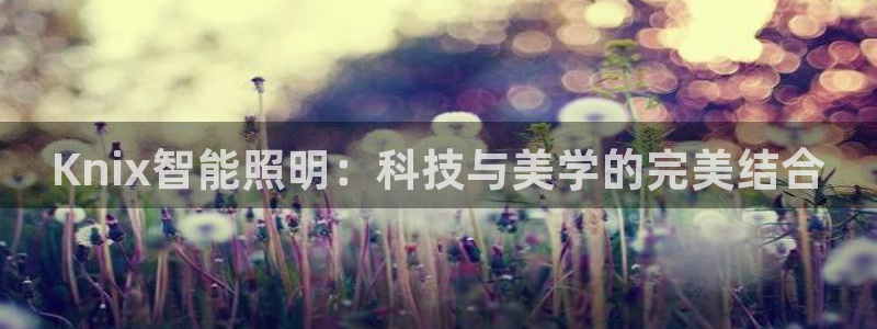 云顶国际体育